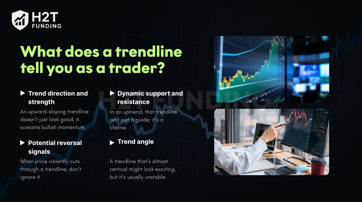 A trendline tells you where the price wants to go, where it might turn around