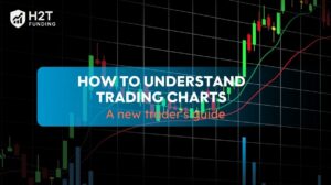 How to understand trading charts: A new trader’s guide